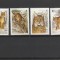 Fauna,feline,WWF,Belarus.