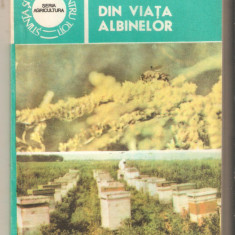 Din viata albinelor-Ion Cirnu