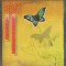 Vinil LP Heart &lrm;&ndash; Dog &amp; Butterfly (VG+)