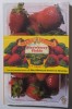 Marina Lewycka - Strawberry Fields (A Novel)