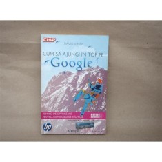 Cum sa ajungi in Top pe Google , David Viney , 2009 foto