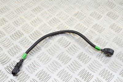 Senzor de detonație motor MASERATI QUATTROPORTE VI 2014 OEM: 0261231223 13572723 foto