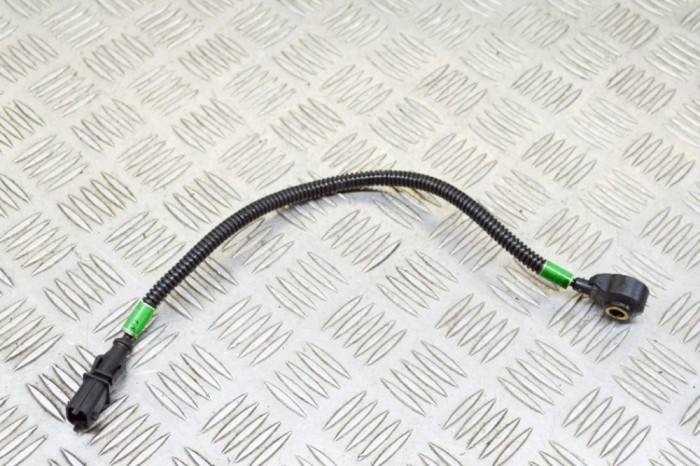 Senzor de detonație motor MASERATI QUATTROPORTE VI 2014 OEM: 0261231223 13572723