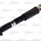 Amortizor RENAULT MEGANE I Scenic (JA0/1) (1996 - 2001) Magnum Technology AGR066MT