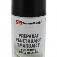 Spray lubrifiant 100ml TermoPasty