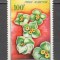 Congo (Brazzaville).1963 Flori SC.588