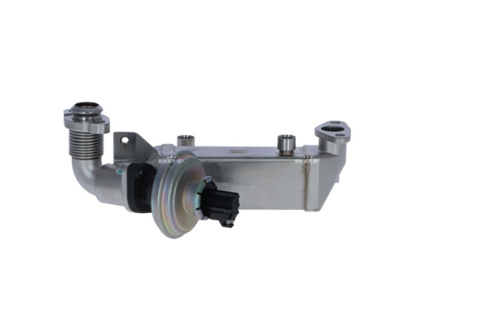 NRF 48365 Supapa EGR