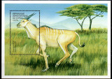 CONGO 2000, Fauna, serie neuzata, MNH