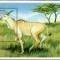 CONGO 2000, Fauna, serie neuzata, MNH