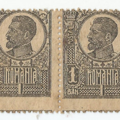 *Romania, LP 72//1920, Ferdinand - uzuale, 1 ban, pereche, eroare, NG