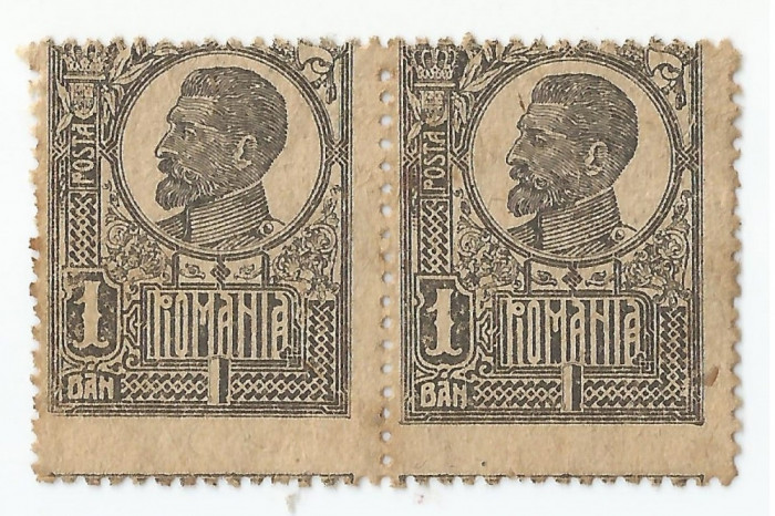 *Romania, LP 72//1920, Ferdinand - uzuale, 1 ban, pereche, eroare, NG