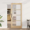 Ușa glisantă cu set de accesorii &#039;ORKDAL&#039;din lemn solid și sticlă