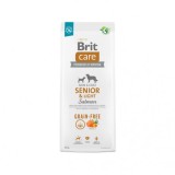 Brit Care Dog Grain-free Senior &amp; Light, hrana uscata pentru caini, 12 kg