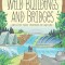Wild Buildings and Bridges: Architecture Inspired by Nature