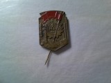 Insigna Romania 1945 1 Mai Front Unic , alama si email , h= 2,7cm , ac relipit