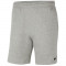 Pantaloni scurti Nike Flecee Park 20 Jr Short CW6932-063 gri