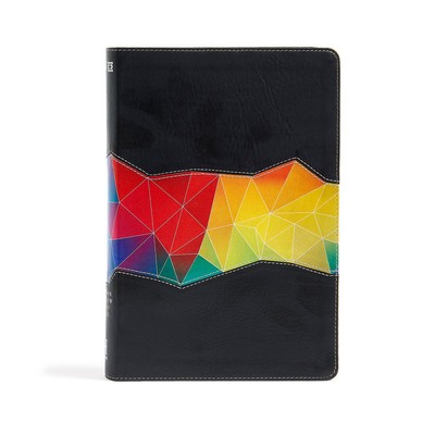Rainbow Study Bible-NIV-Kaleidoscope foto