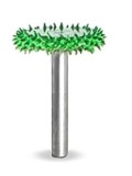 Raspel Rotosaw diametru 16 mm coada 3,2mm, Granulatie Saburr ASPRA - VERDE