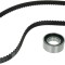 Kit distributie Ina 530020510