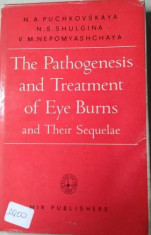 The Pathogenesis And Treatment Eye Burns And Their Sequelae (MIR Publishers) foto