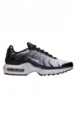 Pantofi Sport Nike Air Max Plus GS - 655020-077 foto