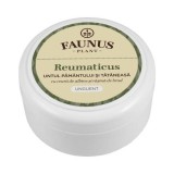 Unguent pentru dureri reumatice Reumaticus, 100ml, Faunus Plant