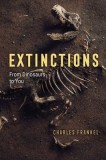 Extinctions: From Dinosaurs to You