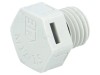Element compensare presiune IP68 M12 Gri