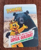 D2 - Magnet frigider - Tematica pentru copii - Urssul gulerat - 67