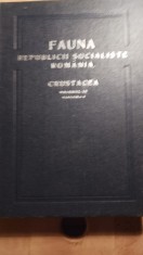 Fauna republicii socialista romania,crustacea vol. Iv,fascicola9 / 0121 foto