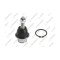 Pivot brat suspensie Ford Expedition 09.06-, F-150 Crew Cab Pickup 09.08-, F-150 Standard Cab Pickup 09.08-, F-150 10.07-; Lincoln Mark Lt 09.05-, Na