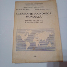 GEOGRAFIE ECONOMICA MONDIALA - RESURSELE NATURALE SI VALORIFICAREA LOR