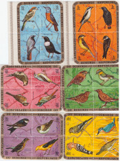 176-Burundi-PASARI-Serie de 6 blocuri de 4 timbre nestampilate foto