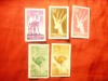 Serie mica Sahara Spaniola 1957 - Fauna , 5 valori, Nestampilat