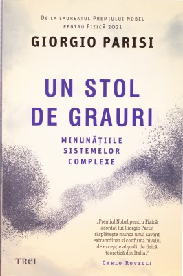 AS - GIORGIO PARISI - UN STOL DE GRAURI MINUNATIILE SISTEMELOR COMPLEXE foto