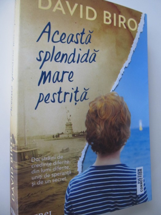 Aceasta splendida mare pestrita - David Biro