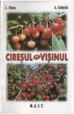Ciresul si visinul - L. Chira, A. Asanica, editura MAST