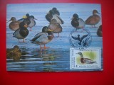HOPCT MAXIMA ROMANIA NR 1254 RATA MARE-PASARI/ FAUNA