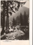 CPIB 22419 - CARTE POSTALA - TUSNAD. PE MALUL LACULUI CIUCAS, RPR