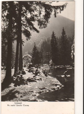 CPIB 22419 - CARTE POSTALA - TUSNAD. PE MALUL LACULUI CIUCAS, RPR foto