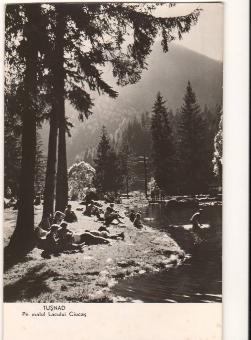 CPIB 22419 - CARTE POSTALA - TUSNAD. PE MALUL LACULUI CIUCAS, RPR