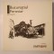 Florentina Ghemuț (text) - Bucureștiul feroviar: eseu fotografic (2009) (tiraj 237 ex.)