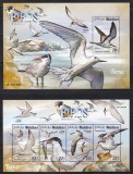 Maldive 2015 - Păsări din Maldive - Șterni, Bloc + Colita, F.RARE, MNH (vezi descrierea)