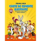 Looney Tunes. Prima mea carte de cuvinte ilustrate. &Icirc;nt&acirc;mplări cu Bugs Bunny, Tweety și compania