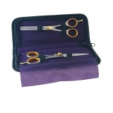 Cumpara ieftin Set profesional frizerie cu 2 foarfeci pentru tuns si filat, V24 00260, cu geanta transport, argintiu cu auriu