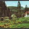 CPIB 23612 CARTE POSTALA - BORSEC. VEDERE DIN STATIUNE, RPR, CIRCULATA, 1966