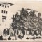 bnk cp Vasile Roaita - Clubul CCS - circulata 1954