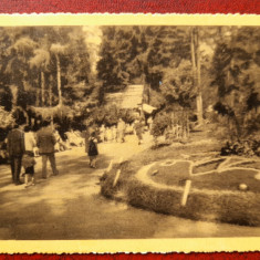 Vatra Dornei-1939-Vedere din parc-C.P.circ.