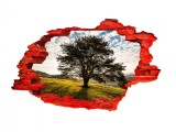 Autocolant decorativ, Gaura in perete, Multicolor, 85 cm, 632STC-2, animale si pasari, Oem
