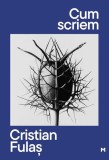 Cum scriem - Paperback brosat - Matca literară